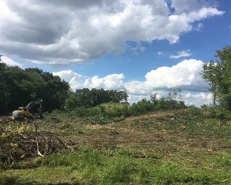 Lot and Land Clearing