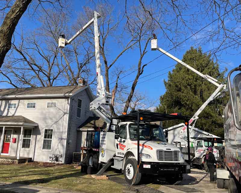 Lift Bucket Tree Work