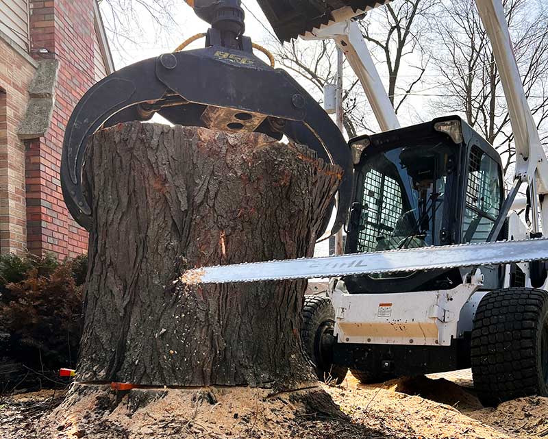 Crane Work & Stump Removal 