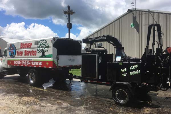 Commercial Tree Removal
