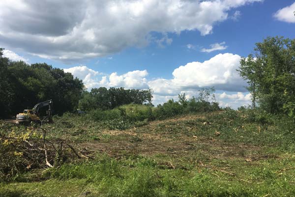 Lot and Land Clearing