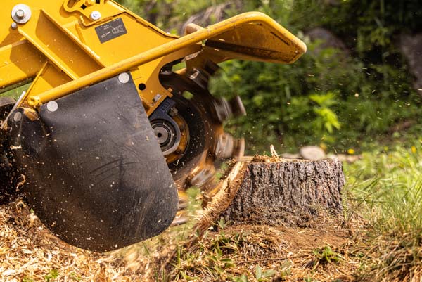 Stump Grinding