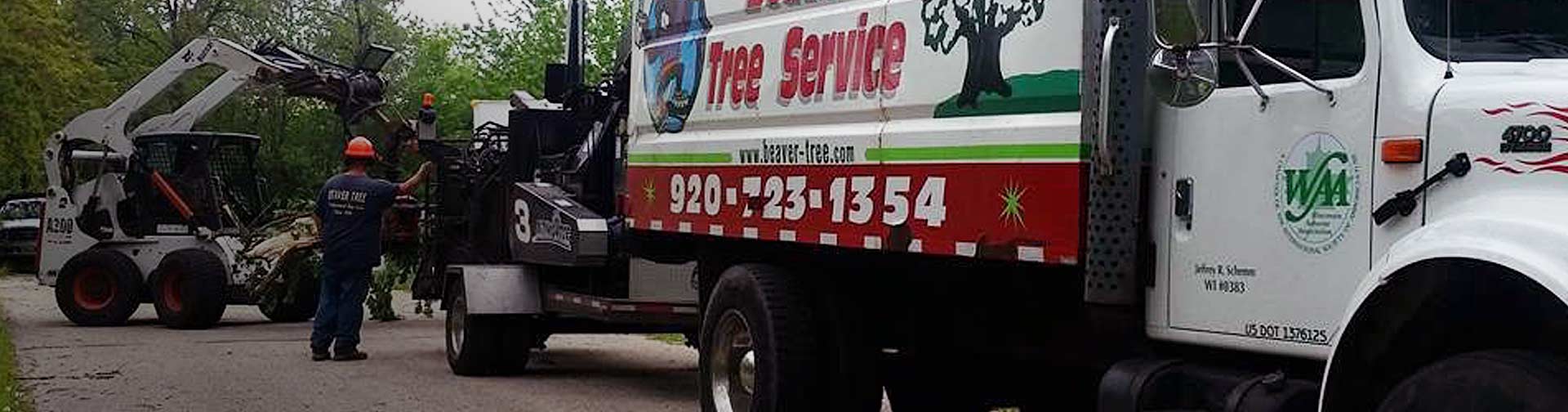 Commercial Tree Removal in Fort Atkinson, WI
