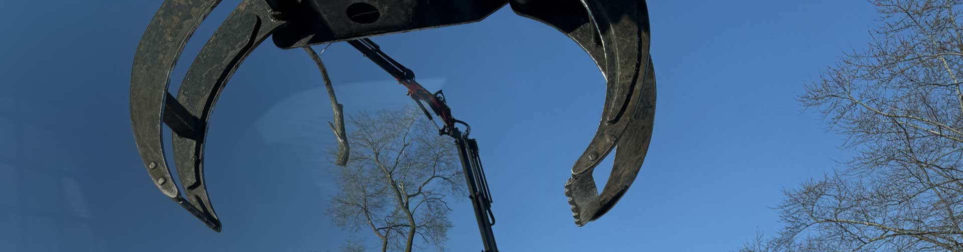 Crane-Assisted Tree Removal in Fort Atkinson, WI