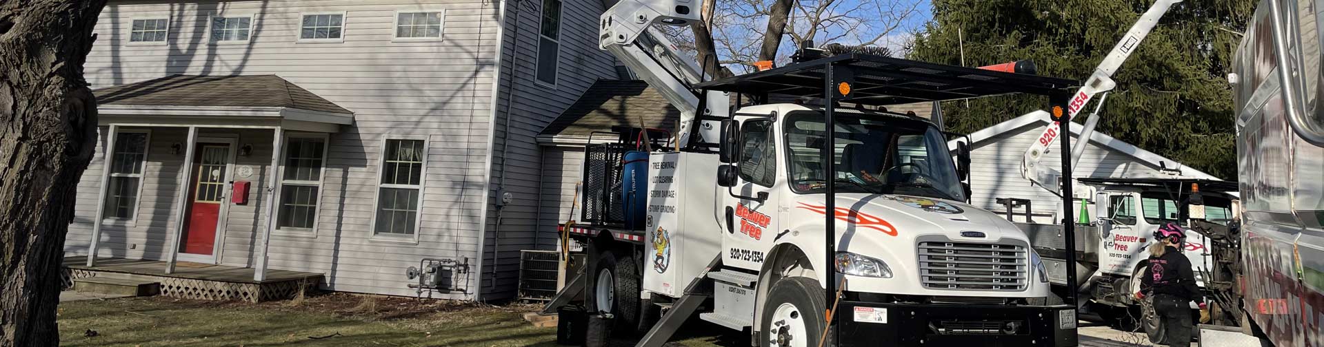Tree Services in Whitewater, Wisconsin
