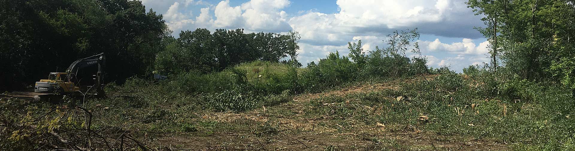 Lot and Land Clearing in Fort Atkinson, WI