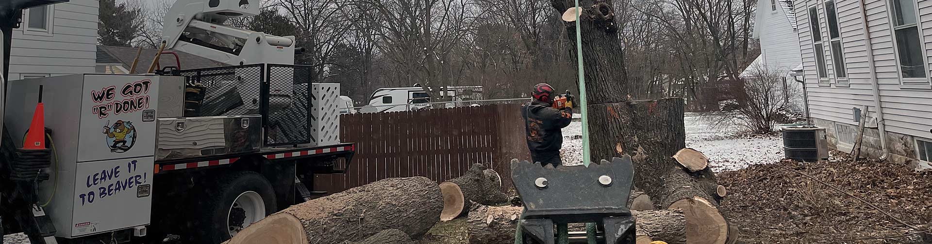 About Beaver Tree Service
