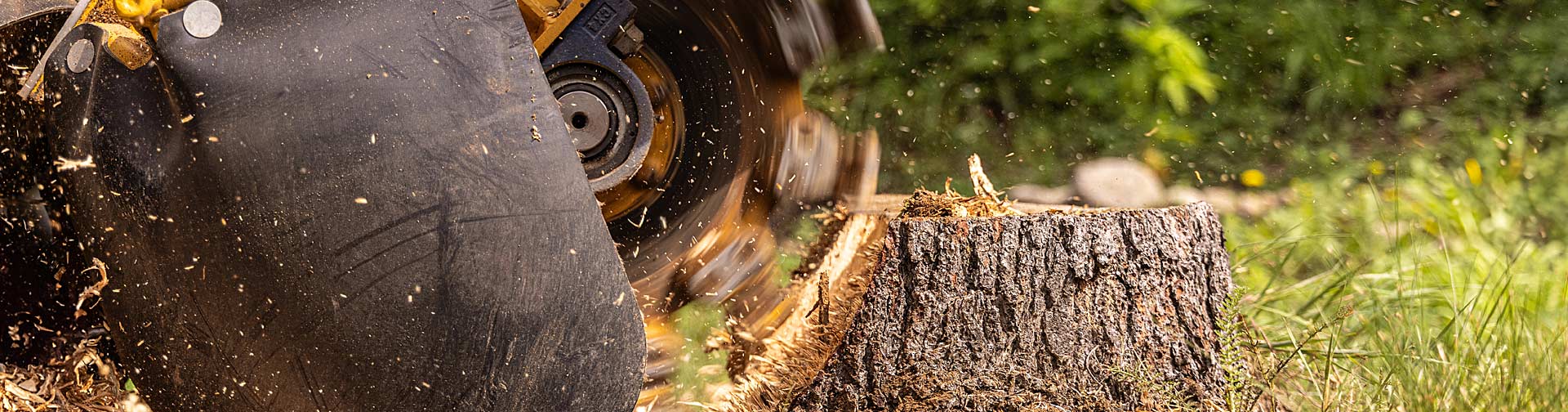 Stump Grinding in Fort Atkinson, WI