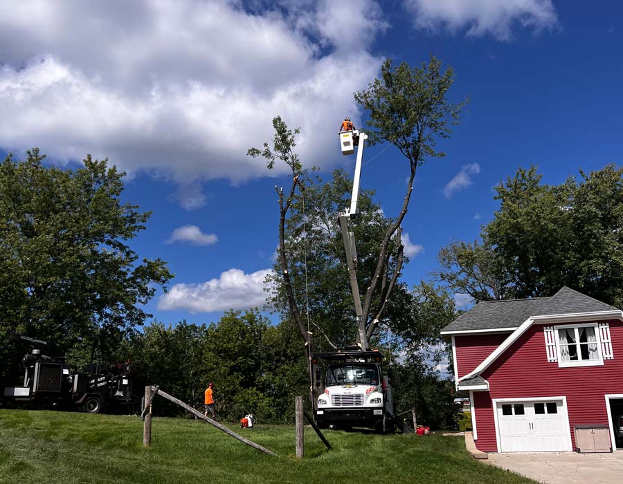 Tree Removal Service Area in Southeastern Wisconsin