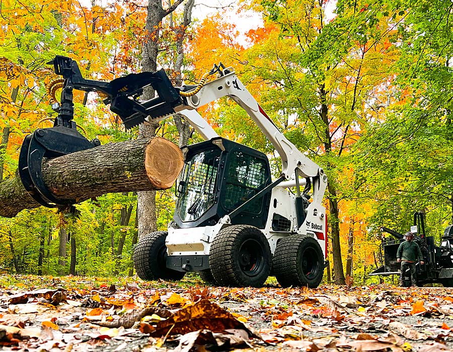 Equipment & Capabilities for Tree Removal