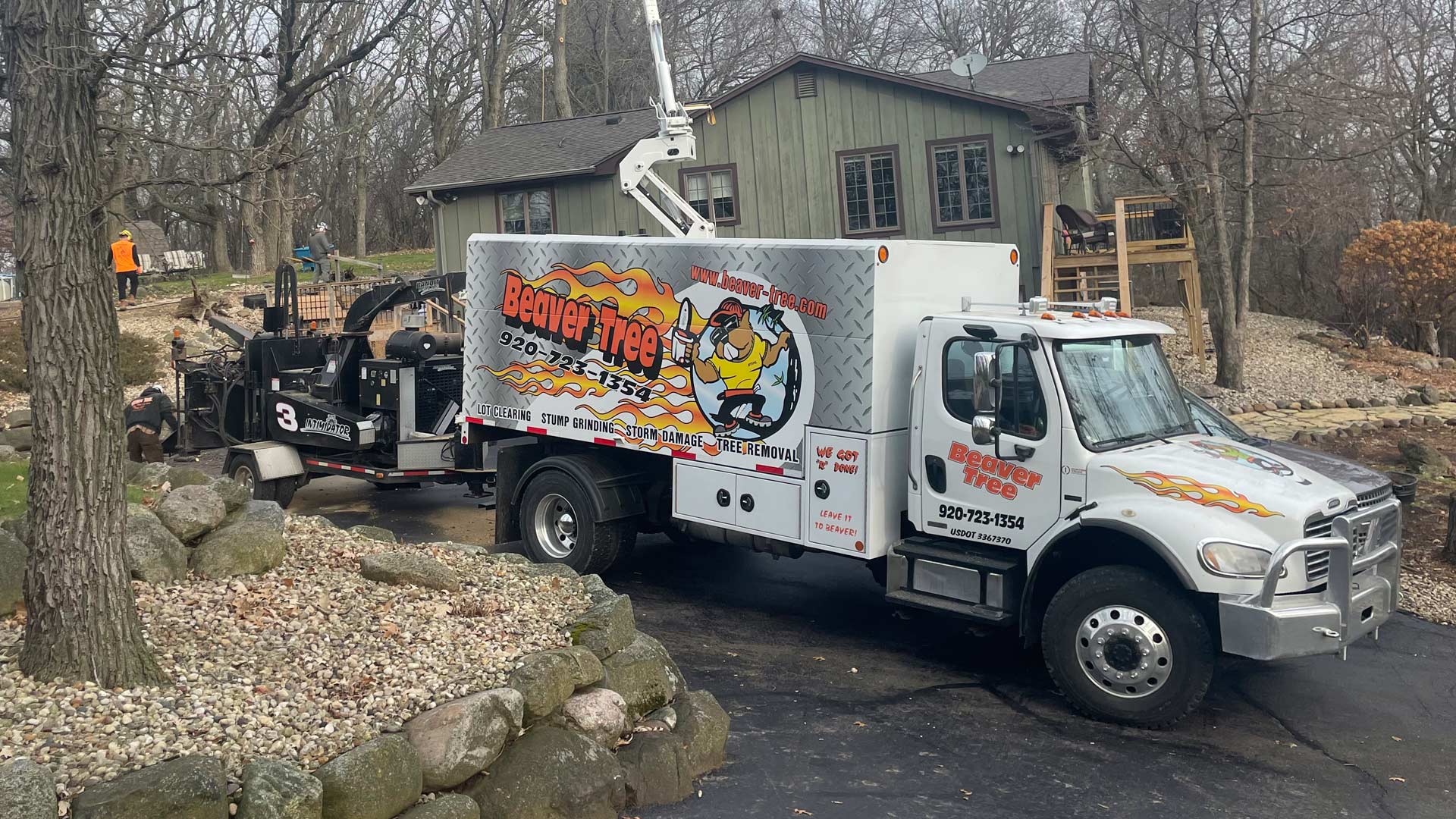 Tree and stump removal